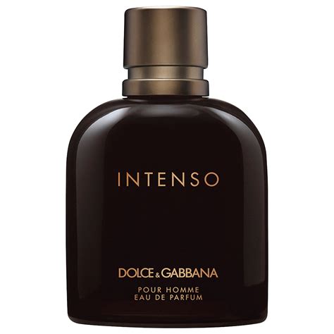 dolce gabbana intenso etos|dolce gabbana intense cushions.